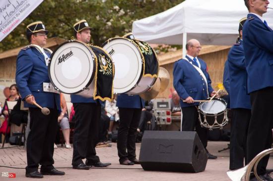 1234887_659545754057492_2021960596_n